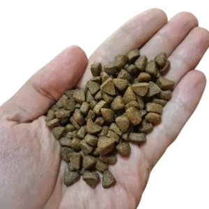 خرید غذا خشک بچه گربه سولواس 12 کیلوگرمی