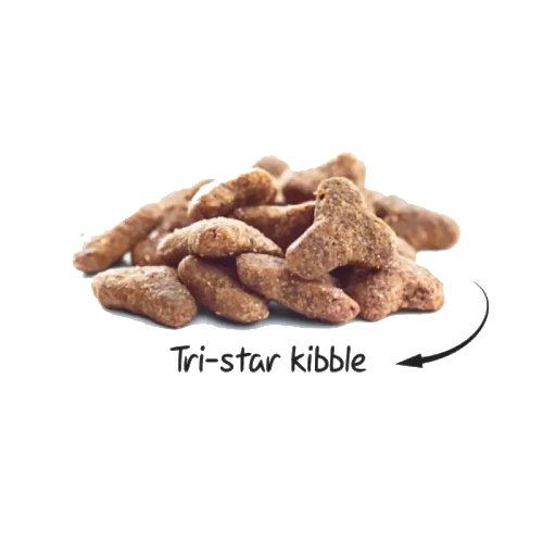 غذا خشک گربه بالغ عقیم شده سولواس 12 کیلوگرمی